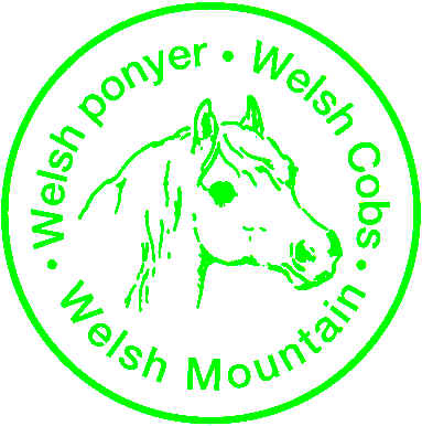 welsh-logo.jpg (28421 bytes)